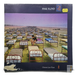 Pink Floyd - A momentary lapse of Reason