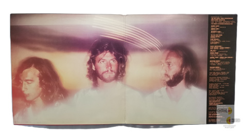 Bee Gees - Spirits Having Flown Bee Gees - Spirits Having Flown
