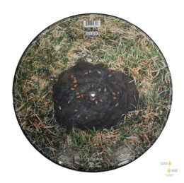 Outkast - Roses (full picture disc - limited)