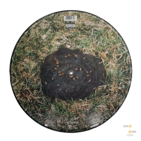 Outkast - Roses (full picture disc - limited) Outkast - Roses (full picture disc - limited)