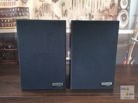 Monitory Bose - Interaudio 1000XL Monitory Bose - Interaudio 1000XL