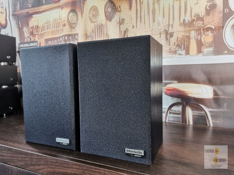 Monitory Bose - Interaudio 1000XL Monitory Bose - Interaudio 1000XL