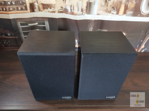 Monitory Bose - Interaudio 1000XL Monitory Bose - Interaudio 1000XL