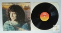 Andreas Vollenweider - ...behind the gardens - behind the wall- under the tree...
