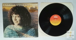 Andreas Vollenweider - ...behind the gardens - behind the wall- under the tree...