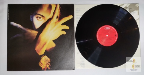 Terence Trent D'arby's Neither Fish Nor Flesh - A soundtrack of love, faith, hope & destruction