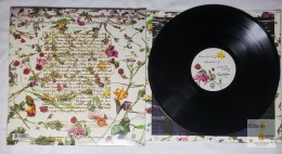 Prince and the Revolution - Purple Rain