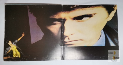 Bryan Ferry	- The bride stripped bare